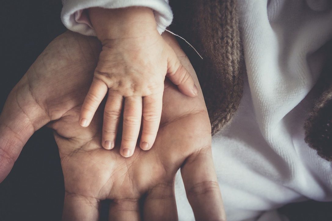 Paternidad